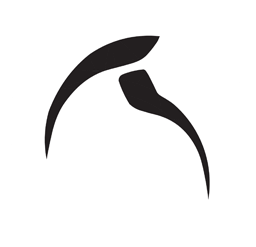 neurosense